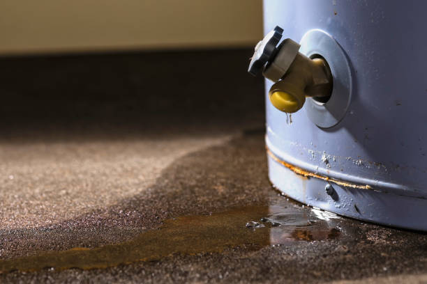 Best Flood restoration services  in Staten Island, NY