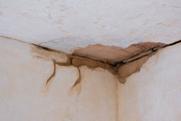 Best Local water damage restoration  in Staten Island, NY