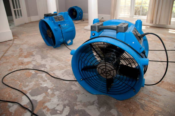 Trusted Staten Island, NY Water damage restoration Experts